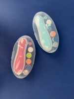 سوهان برقی ناخن نوزاد و کودک مدل TD-288 اورجینال چراغ دار با ۶ سری حرفه ای - تصویر 14